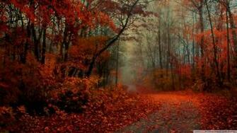 Wallpaper Romantic Autumn 1080p HD Upload At February