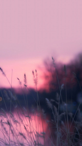 Pink iPhone X Wallpaper