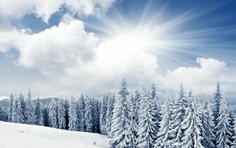 Winter Sun Wallpaper HD