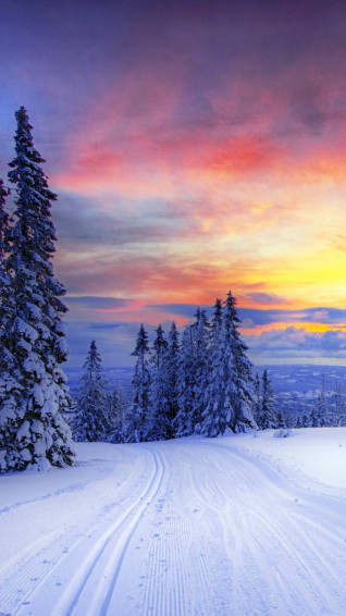 Winter iPhone Wallpaper
