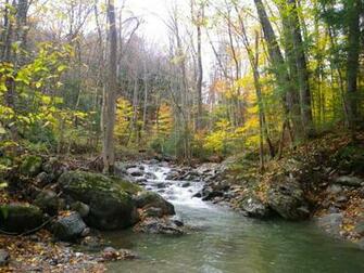 Native Trout Fly Fishing A Little Eastern Brook