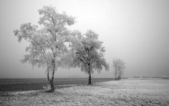 Cute Background And Wallpaper Winter Scene Cool Hq