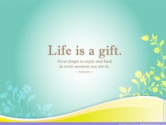 Cute Life Quotes