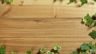 Wallpaper Texture Of The Wood X HDtv 1080p