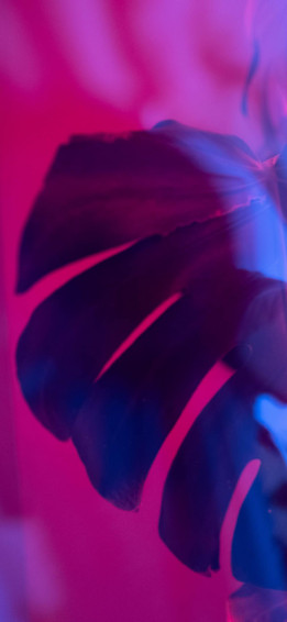 Neon Pink Aesthetic Wallpaper