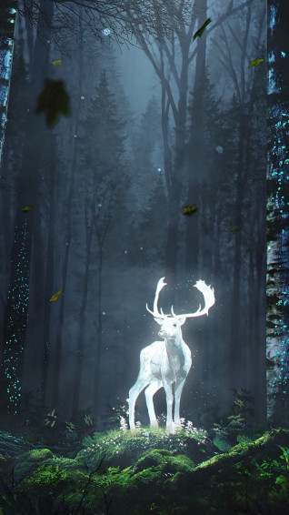 Deer Forest Night Glow Art Grass Trees Leaves Wallpaper