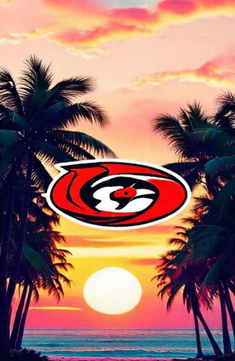 Miami Hurricanes Wallpaper