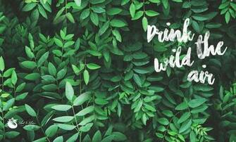 Tropical Desktop Background On