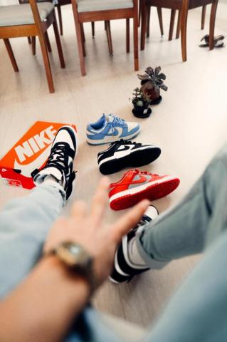 Nike Dunk Low Pictures Image