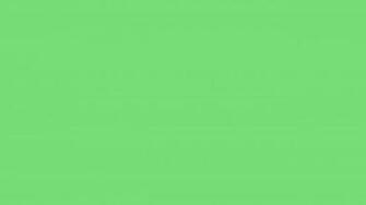 Green Color Background Wallpaper