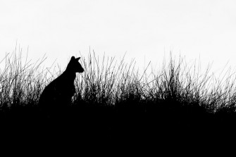 Minimal Black And White Best