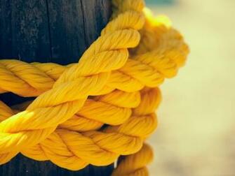 Yellow Cordage On The Tree HD Wallpaper