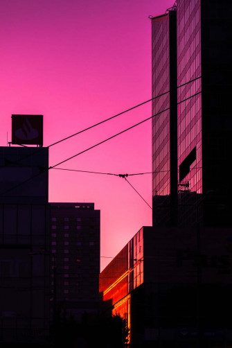 Pink City Wallpaper