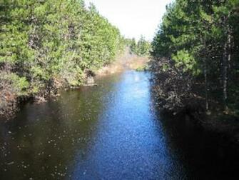 Hoyt Lakes Mn Mls Id Counselor Realty