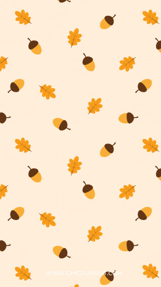 Cute Thanksgiving Wallpaper For iPhone