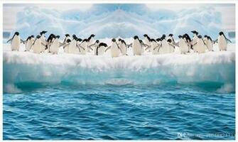 High End Custom 3d Photo Wallpaper Murals Wall Paper Antarctic