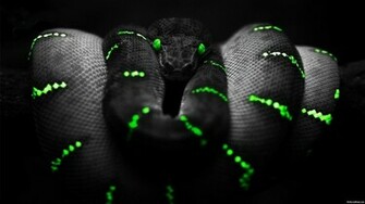 Razer Gaming Computer Game Wallpaper