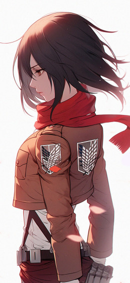 Attack On Titan Mikasa White Background Wallpaper 4k