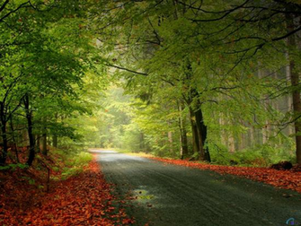 Nature Desktop Wallpaper Full Size