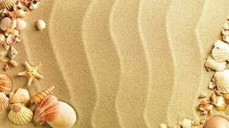 Sea Shell Live Wallpaper Android Apps On Google Play