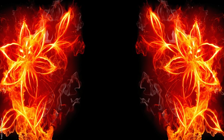 Flower Fire Background Layouts