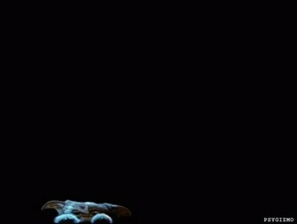 Fond Ecran Gremlins Wallpaper Photo N