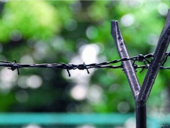 Barb Wire Comic For