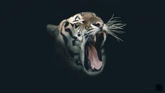 Wallpaper Tiger Ceykey Art Deviantart
