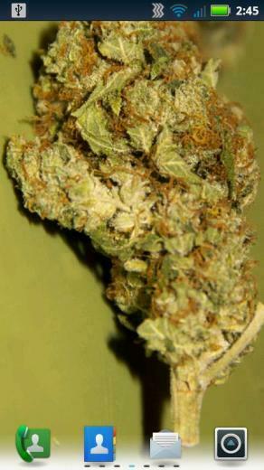 Sour Diesel Live Wallpaper Android Apps On Google Play
