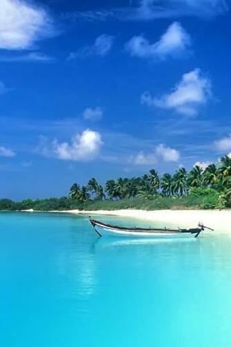 Beach Paradise iPhone Wallpaper HD