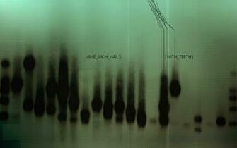Album Cover Wallpaper Nine Inch Nails HD