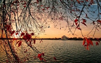 Thomas Jefferson Wallpaper Weddingdressin