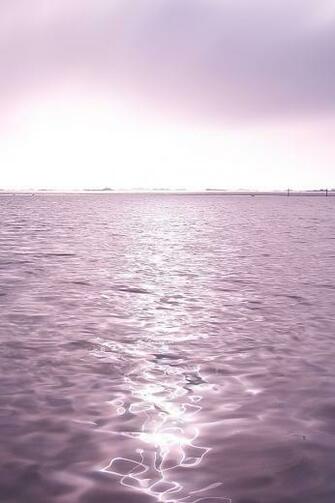 Purple Twilight iPhone 4s Wallpaper iPad