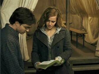 Harry Ron And Hermione Wallpaper