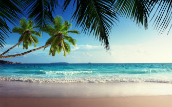 Tropical Beach Paradise Sunset Wallpaper