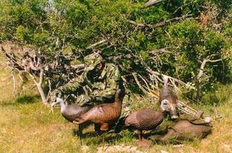 Setting Up For Spring Wild Turkey Bowhunting