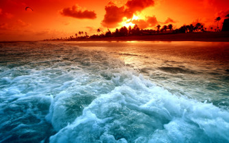 Paradise Beach Sunset Wallpaper Stock Photos