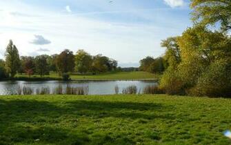 Enjoy This Hyde Park Wallpaper Background