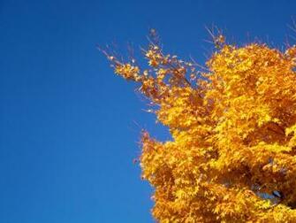 New England Fall Desktop Wallpaper In HD