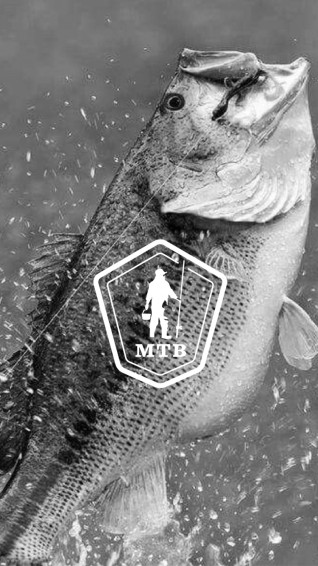 Bass Wallpaper On