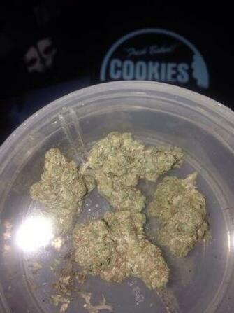 Khalifa Kush Kk Smoking That Trees