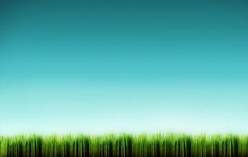 Wallpaper Blue Minimalism Grass Image For Desktop Section