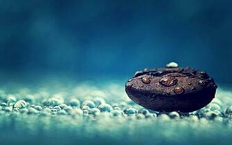 Wallpaper Coffee Cup HD Beans
