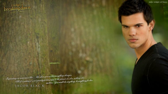 Jacob Twilight Wallpaper Net