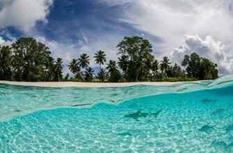 Tantalisingly Tropical Traveler Photo Contest National