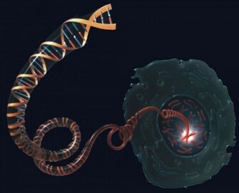 Scientific Dna Wallpaper