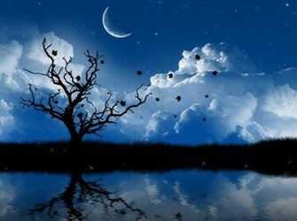 Animated Wallpaper