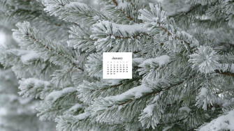January Wallpaper Bies For Desktop Phones