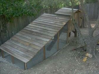 Image Of Chicken Coops Wallpaper H Piou