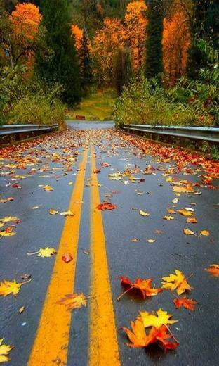 Best Samsung Galaxy S3 Wallpaper Collection Scenery Vode